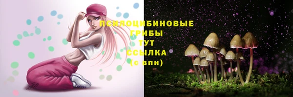 прущие грибы Верхнеуральск