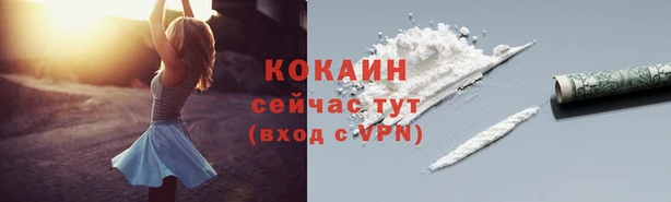 прущие грибы Верхнеуральск