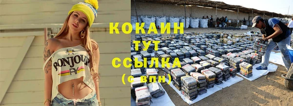 прущие грибы Верхнеуральск