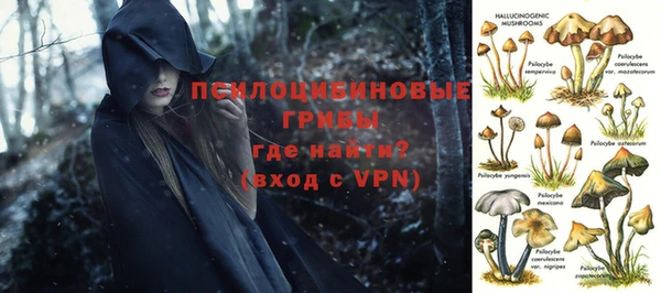 хмурый Верхний Тагил