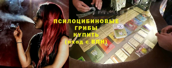 дживик Верея