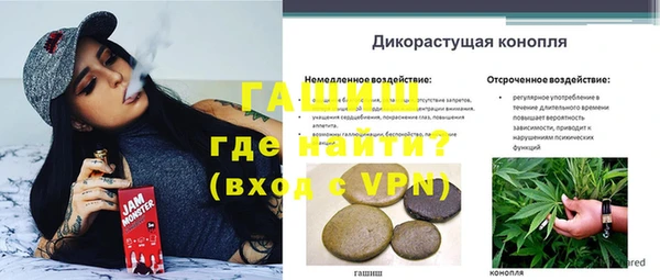 дживик Верея