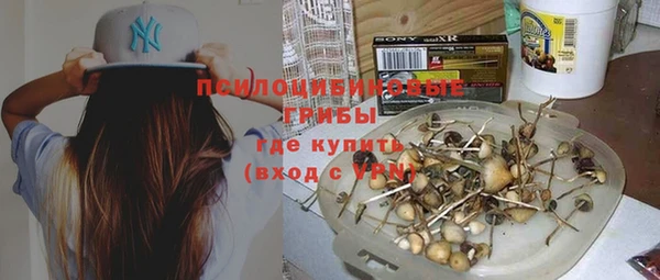 прущие грибы Верхнеуральск