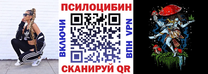 продажа наркотиков  Вязьма  Галлюциногенные грибы Cubensis 
